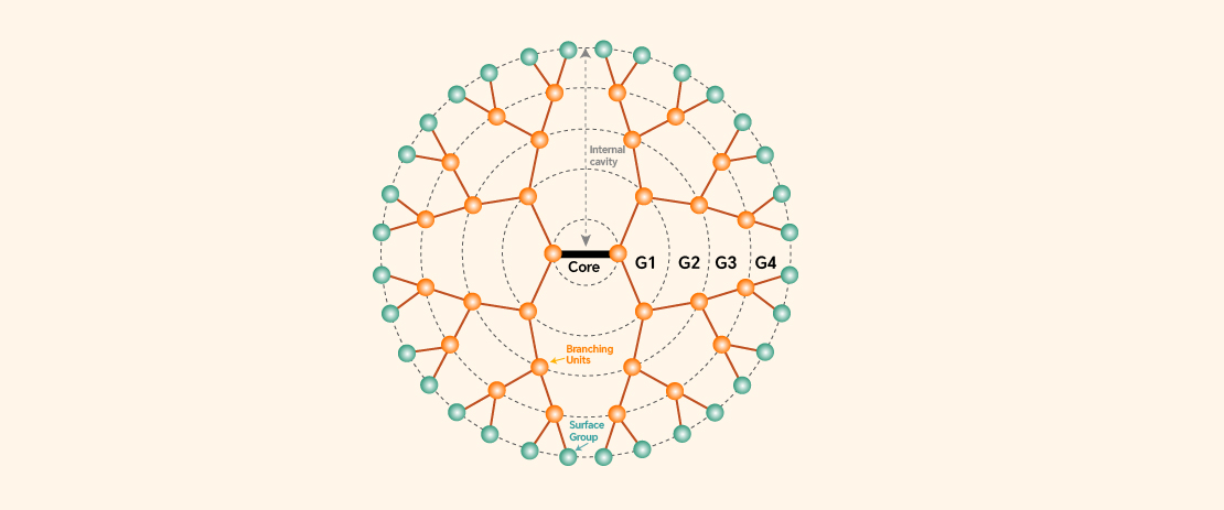 Dendrimer Building Blocks